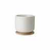 Stelton Theo Krus Inkl. Coaster 1 Stk Sand