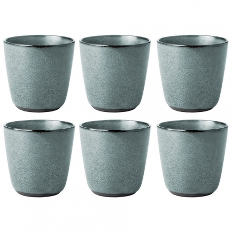 Aida RAW Krus 0,3L 6 stk. Northern Green