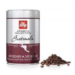 Illy Guatemala 250g