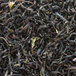 Earl Grey Citrus Økologisk Te 3kg