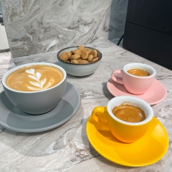 Club House Tulipano Cappuccino m. Underkop Mat Rosa 26 cl 1 Stk