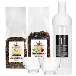 Hario Filter-In 0,75 L Istebrygger Lysegrå m. 2 glas Inkl. Ingefær Surprise Te & Hyldeblomst Æble Te 100g