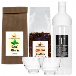 Hario Filter-In 0,75 L Istebrygger Lysegrå m. 2 glas Inkl. Cool Mint Urte Te 80g & Rooibos Rabarber & Jordbær Te 100g