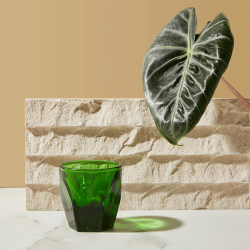NotNeutral Vero Cortado Glas 125 ml 1 Stk Emerald