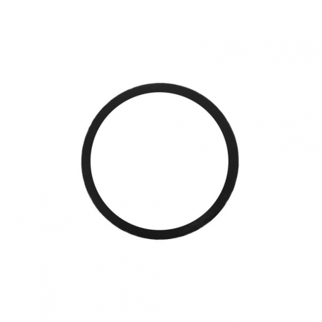 Gaggia O-ring til kedel