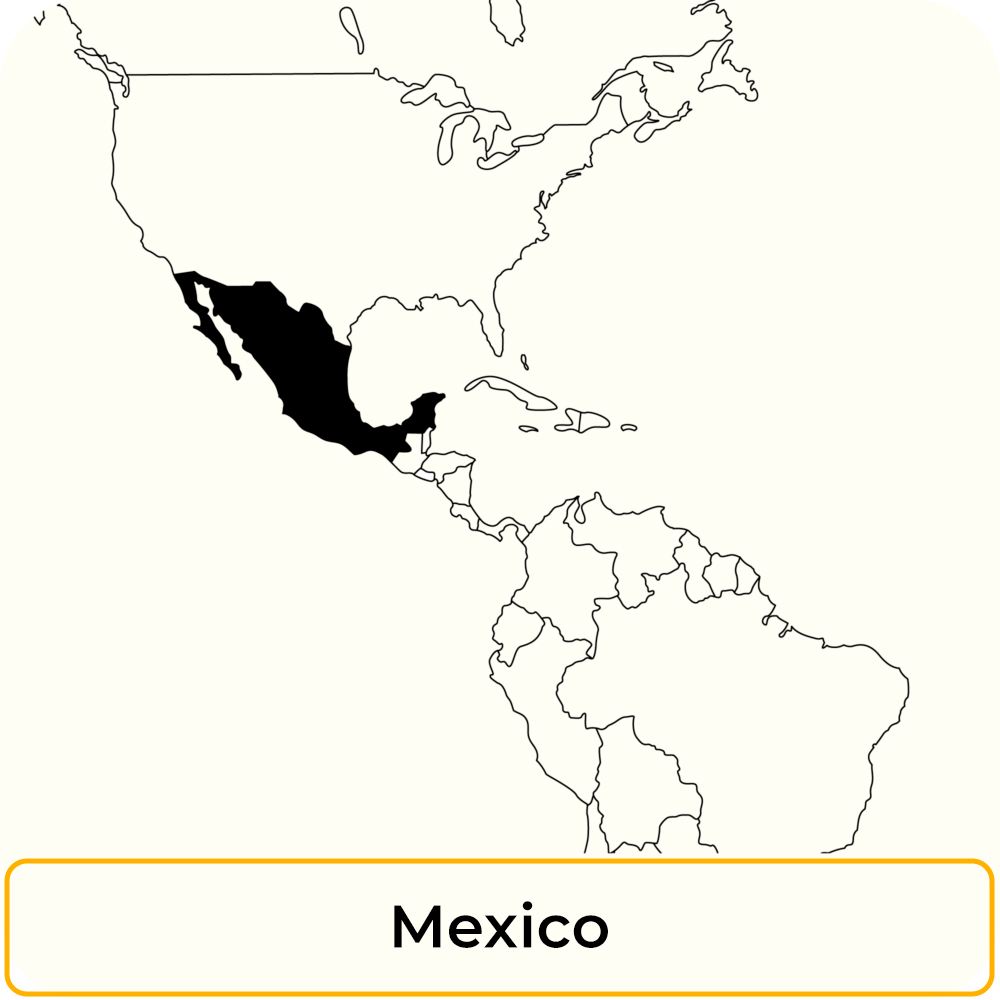 mexico.jpg