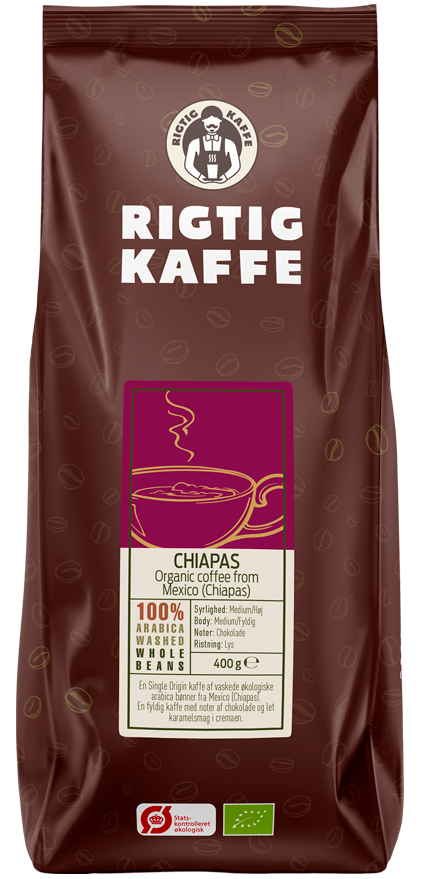 chiapas_1.png