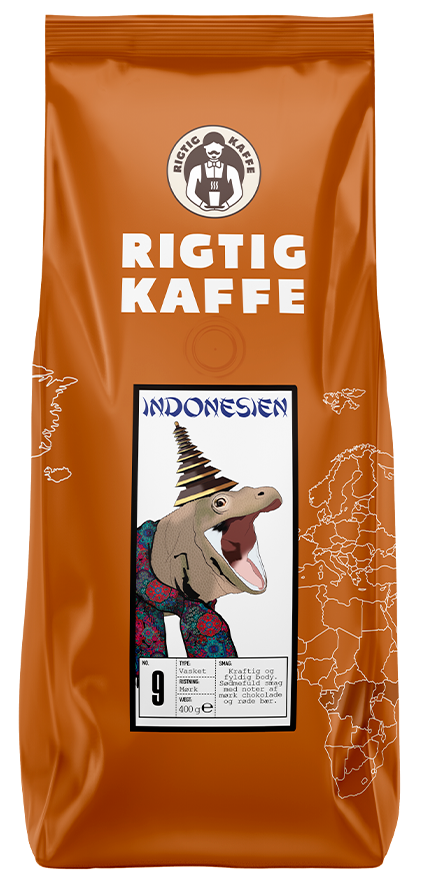 indonesien-cms.png