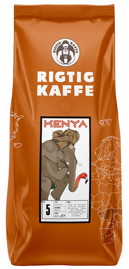 kenya-cms.png