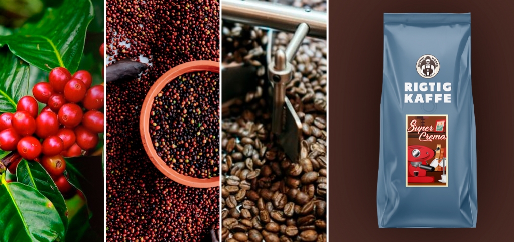 Hvordan bliver kaffen produceret? Fra plante til pose