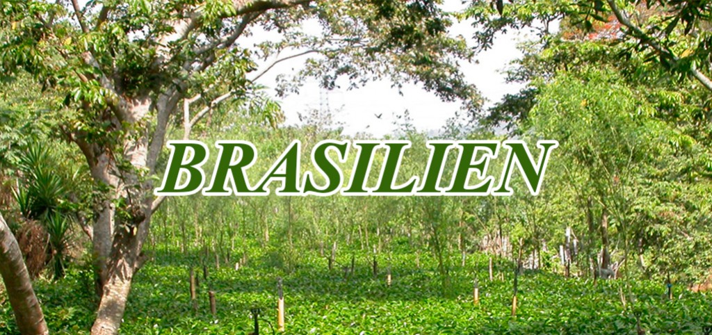 Kaffeproducerende lande: Brasilien